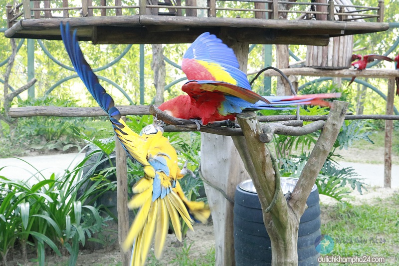 Parrot House in Vinpearl Land Nam Hoi An