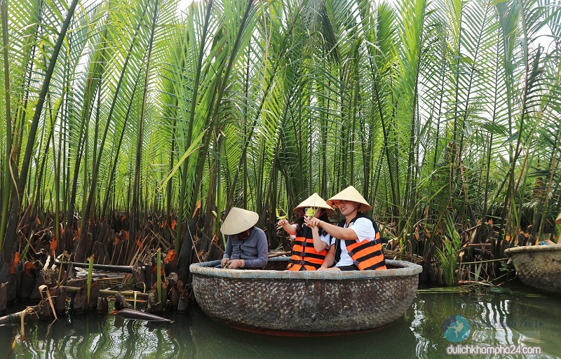 Take the basket to visit the coconut forest